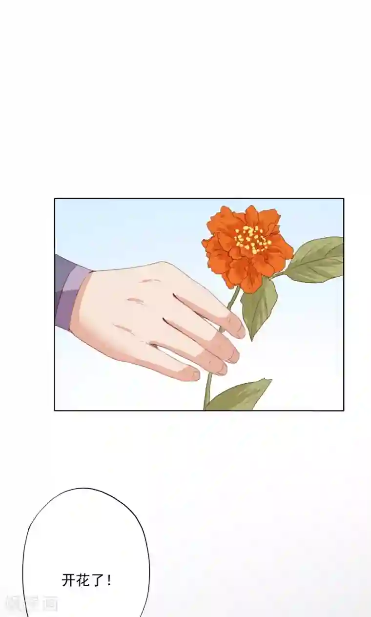 镜花传说第72话