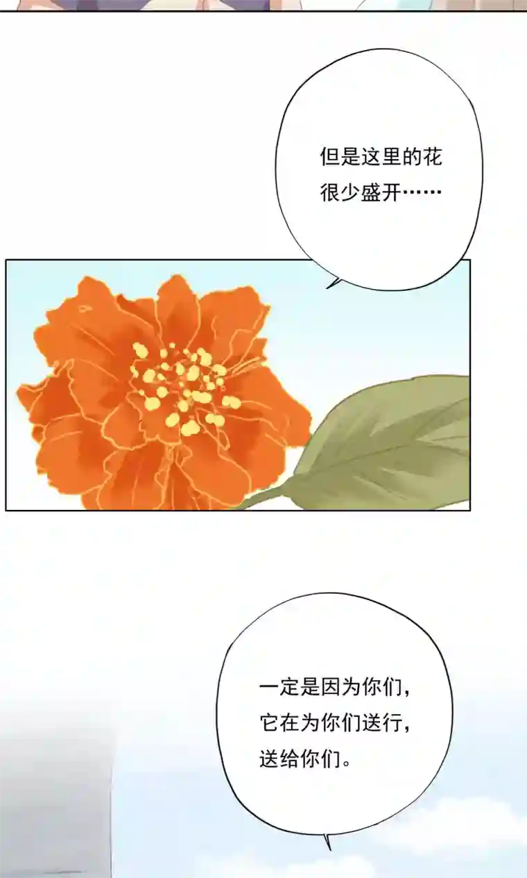 镜花传说第72话