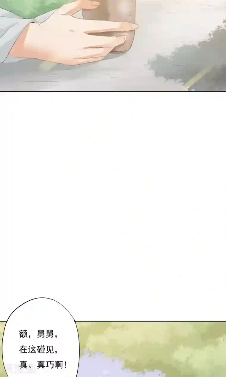 镜花传说第74话