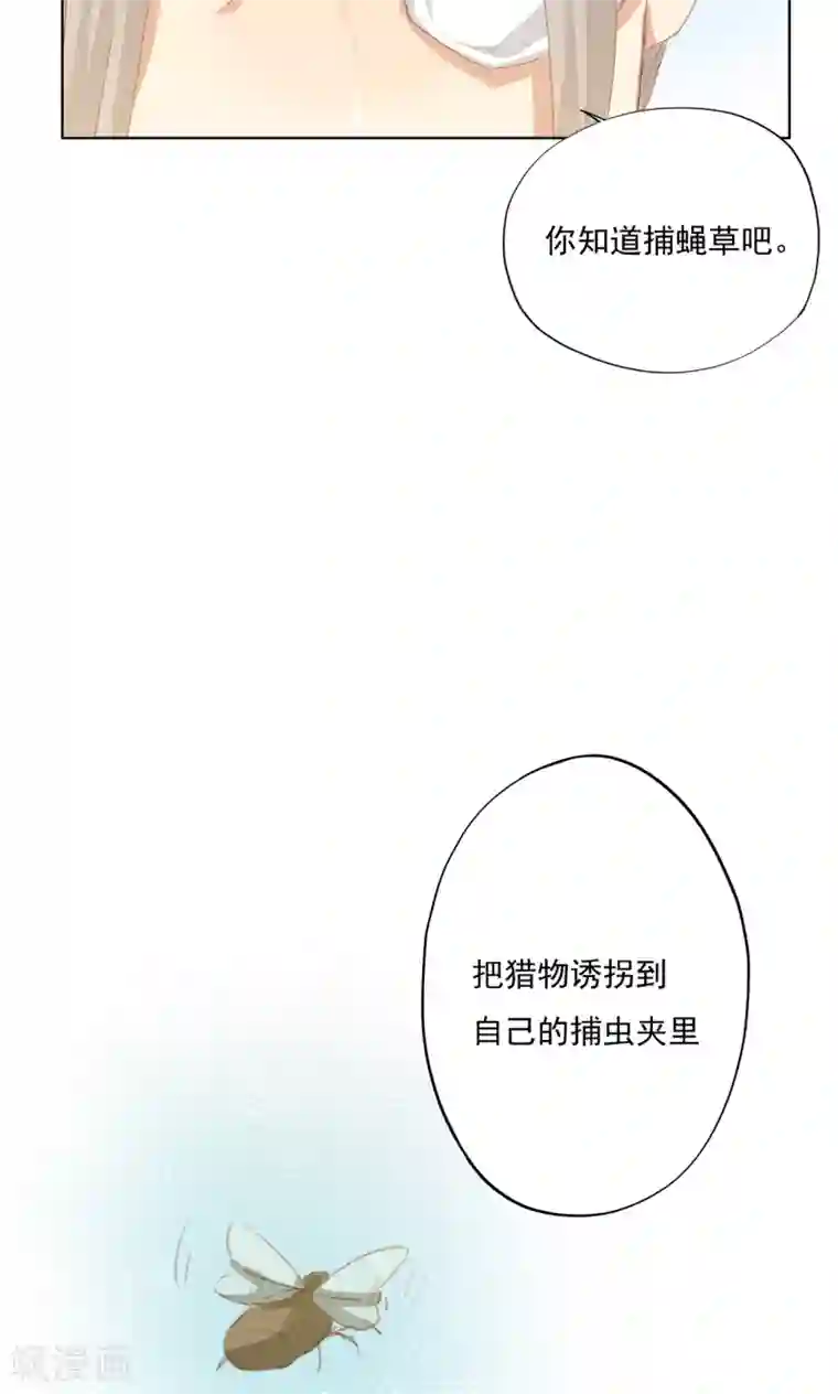 镜花传说第76话