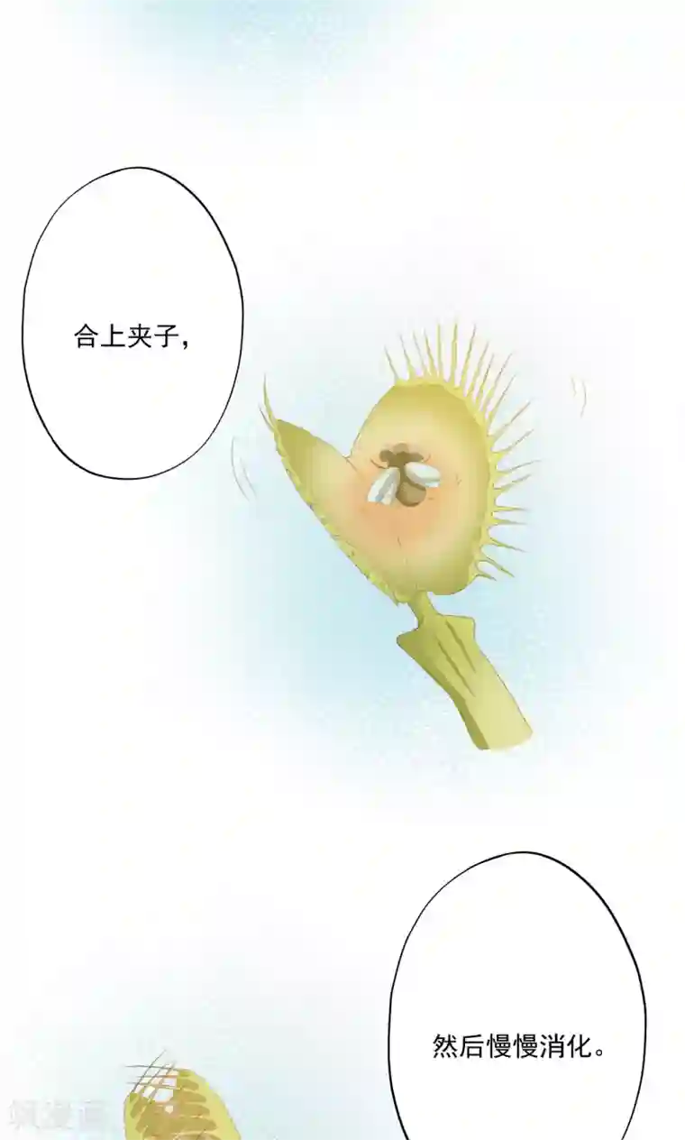 镜花传说第76话