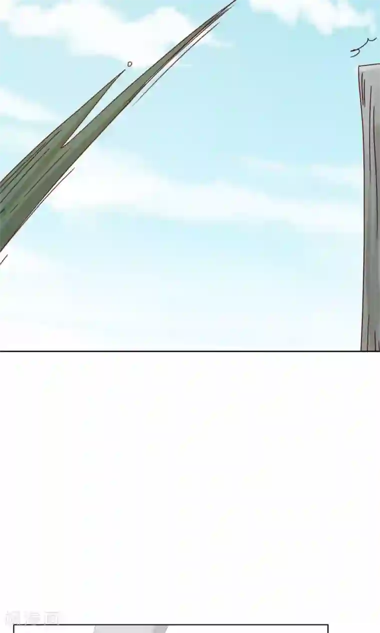 镜花传说第80话