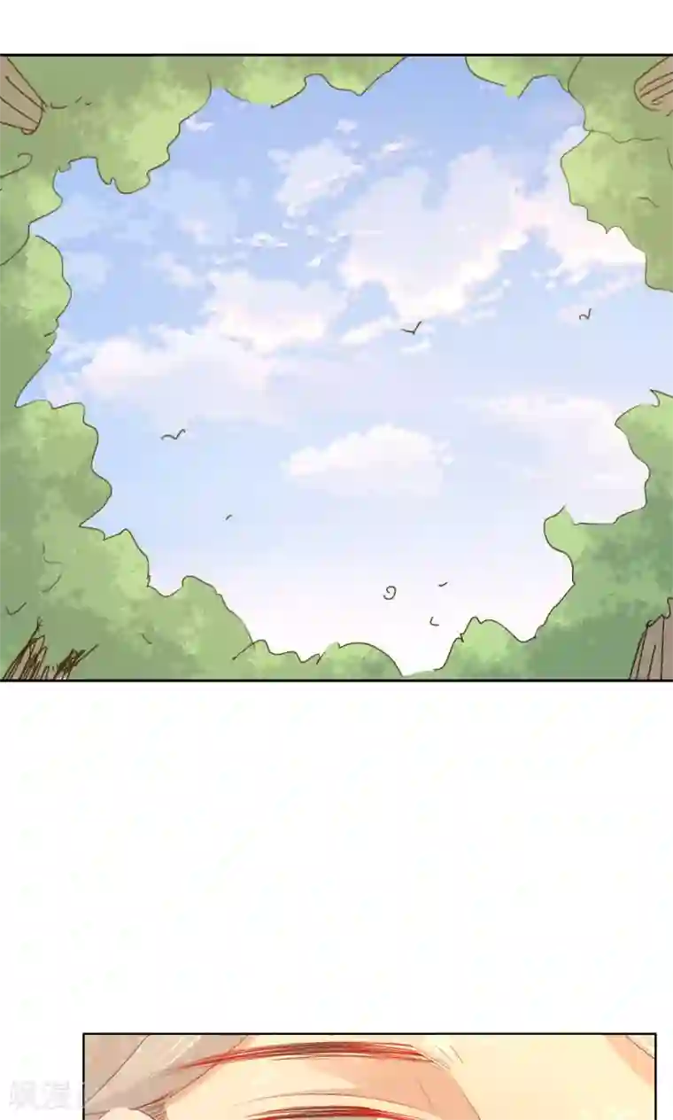 镜花传说第85话