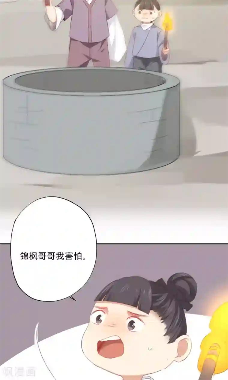 镜花传说第85话