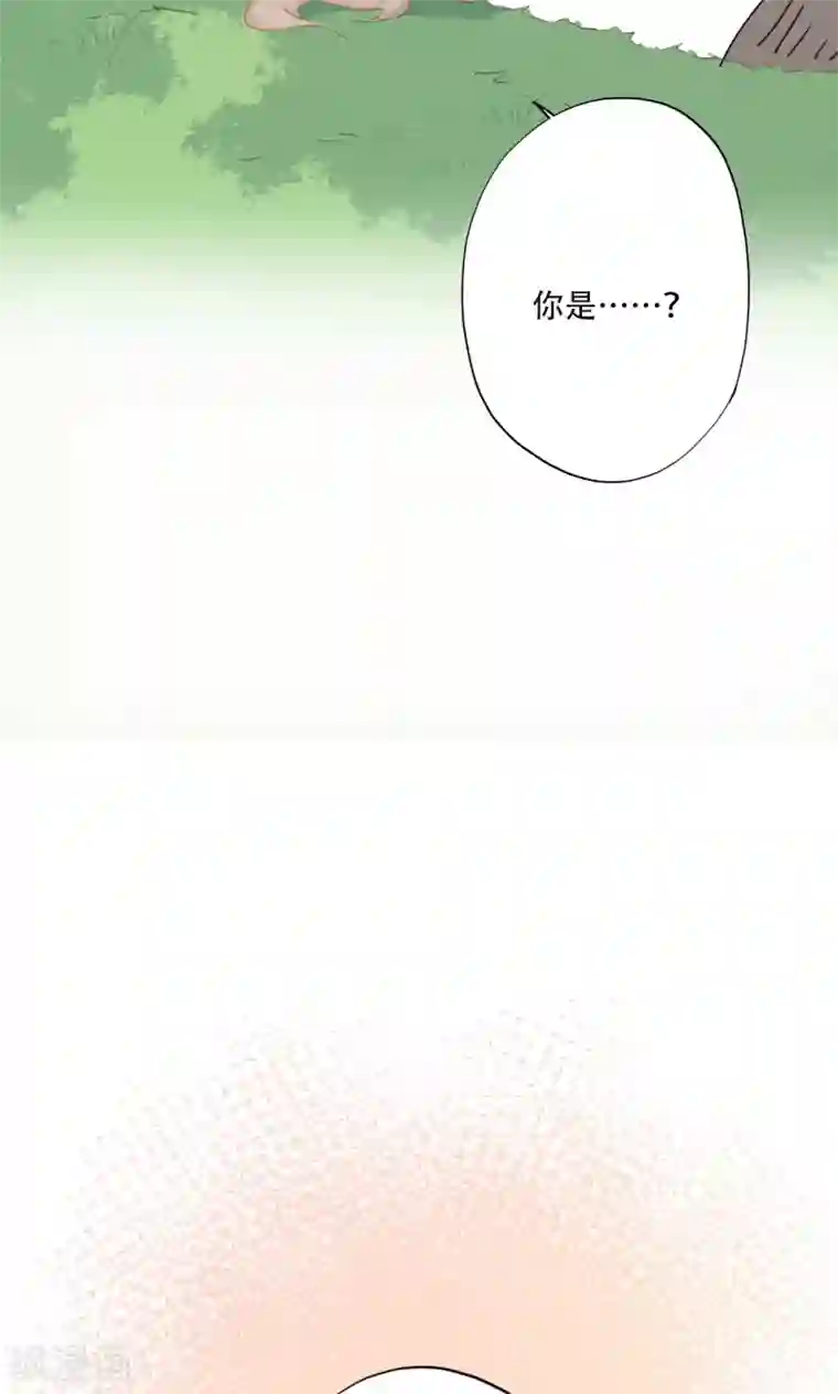 镜花传说第85话