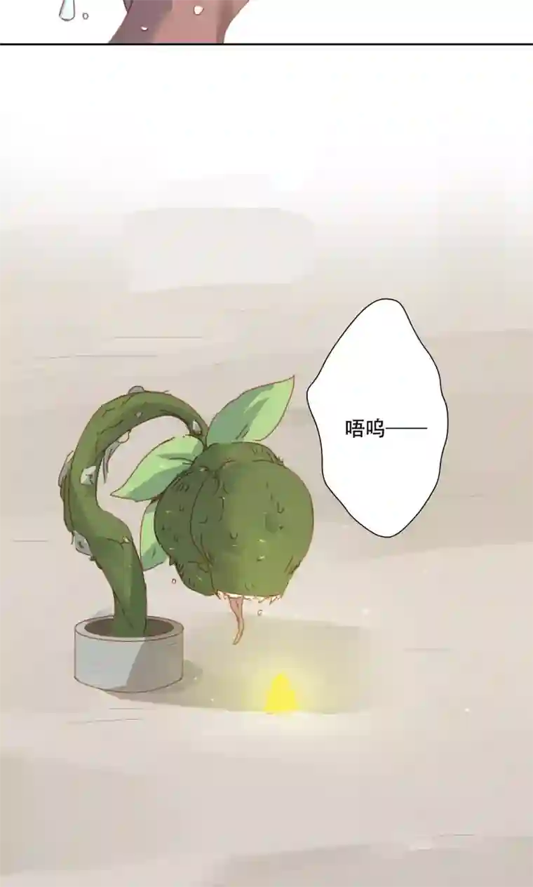 镜花传说第86话