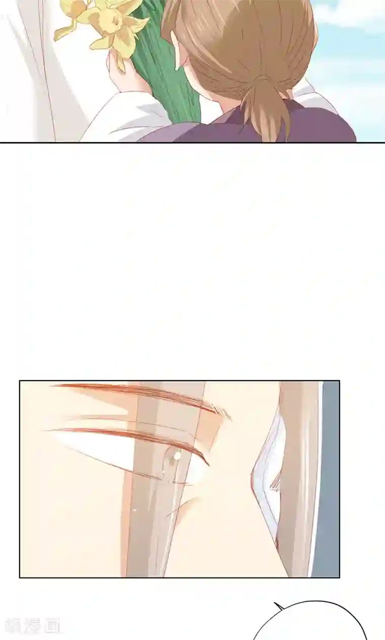 镜花传说第88话