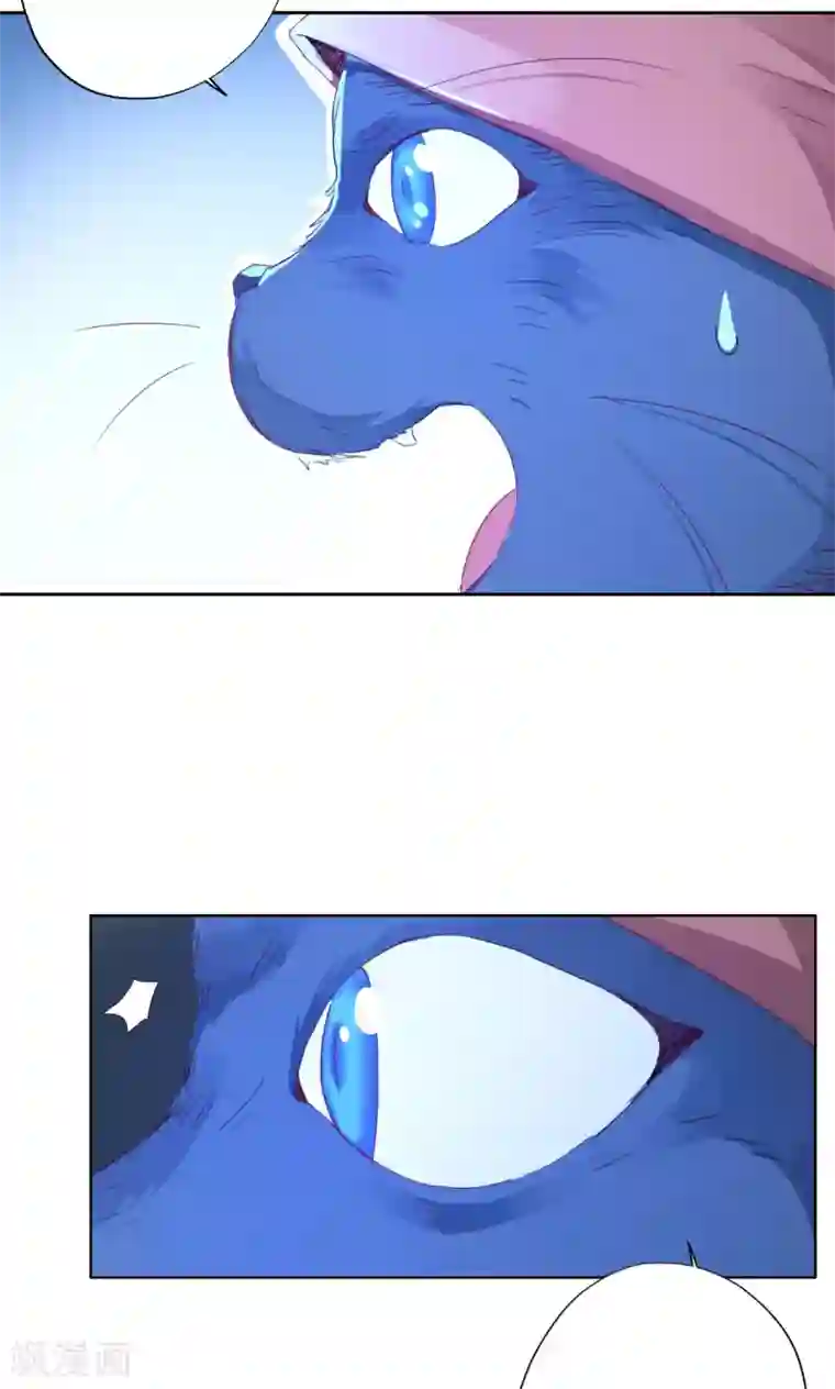 镜花传说第90话