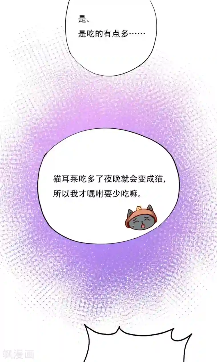 镜花传说第91话