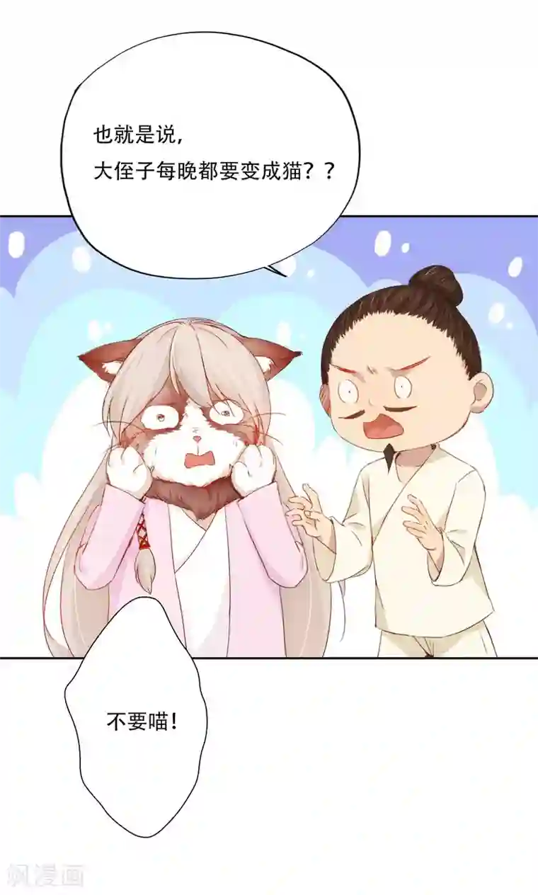 镜花传说第91话