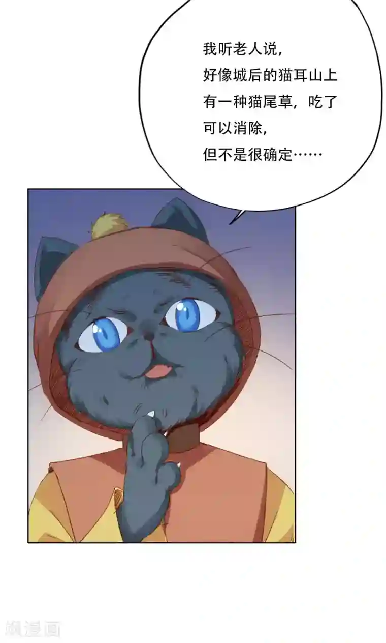 镜花传说第91话