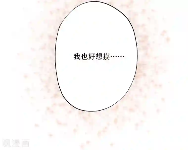 镜花传说第91话