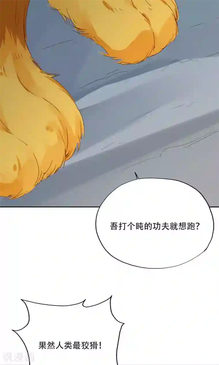 镜花传说第94话