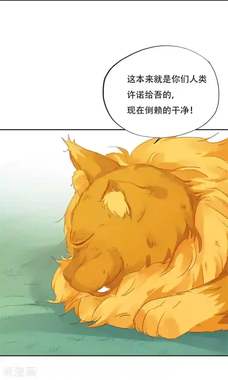 镜花传说第94话