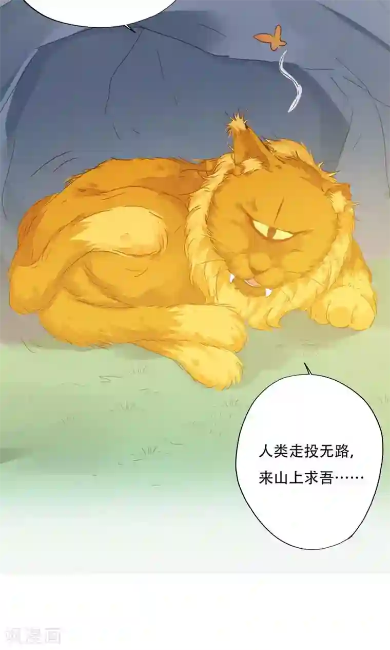 镜花传说第94话