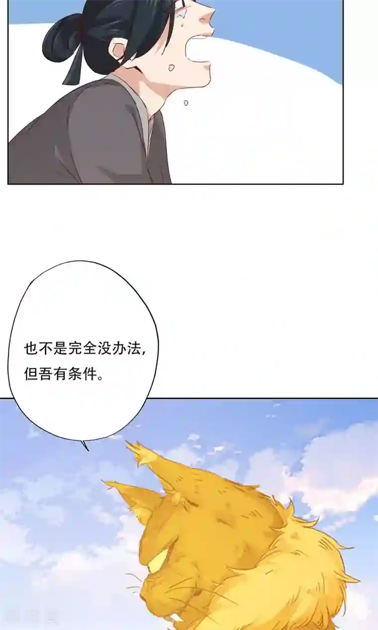 镜花传说第94话