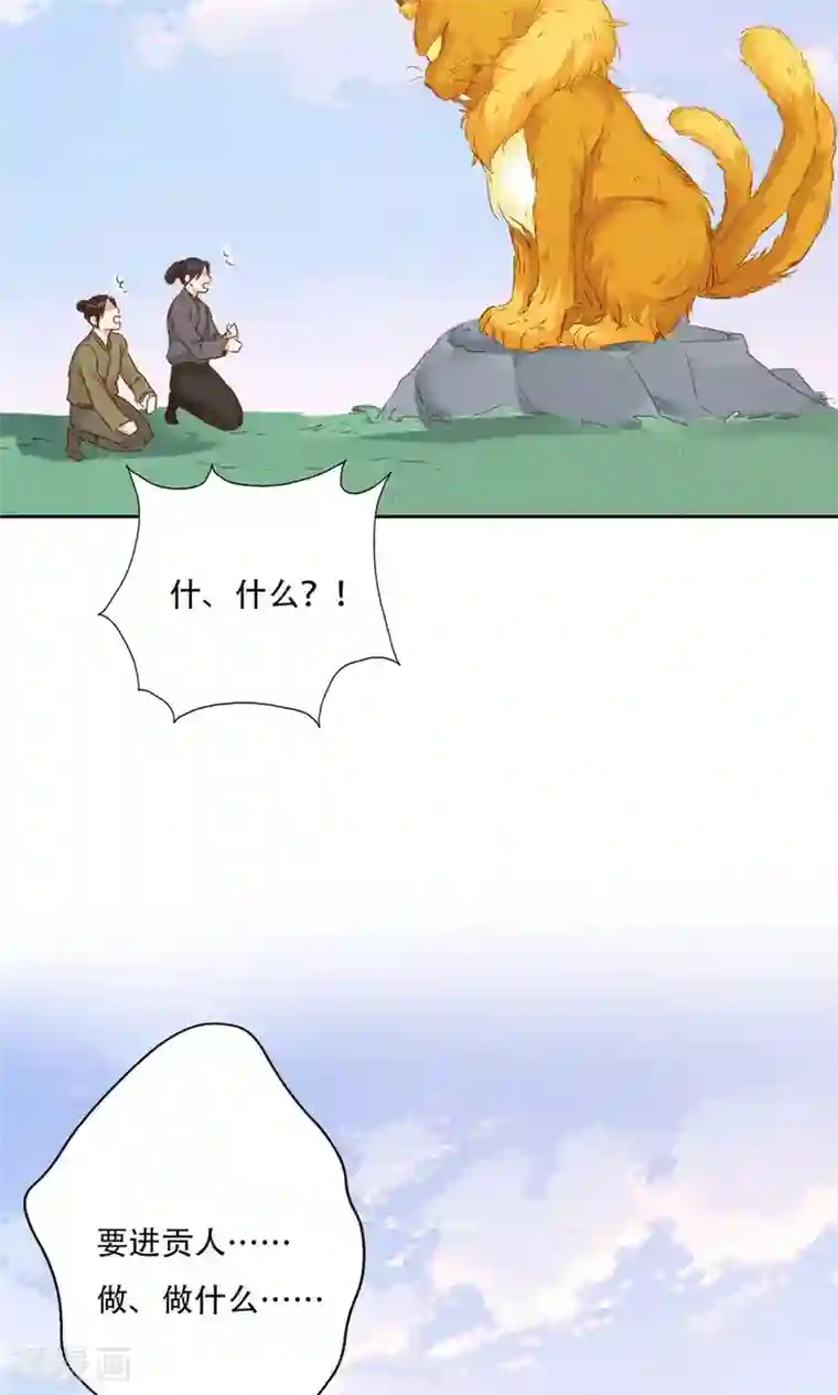 镜花传说第94话