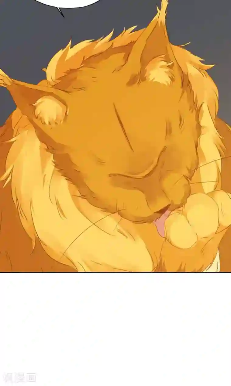 镜花传说第94话