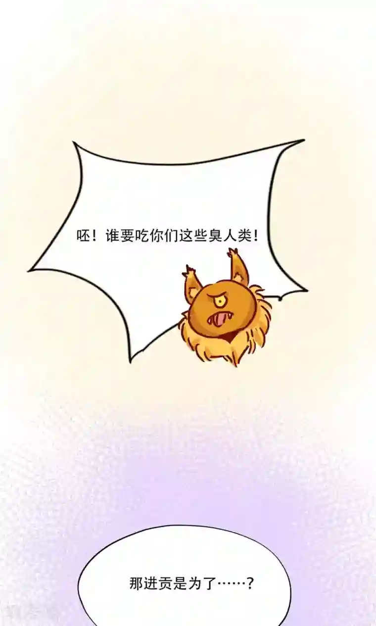 镜花传说第94话