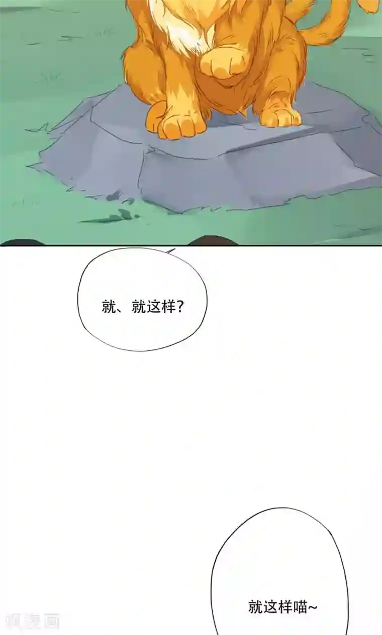 镜花传说第94话
