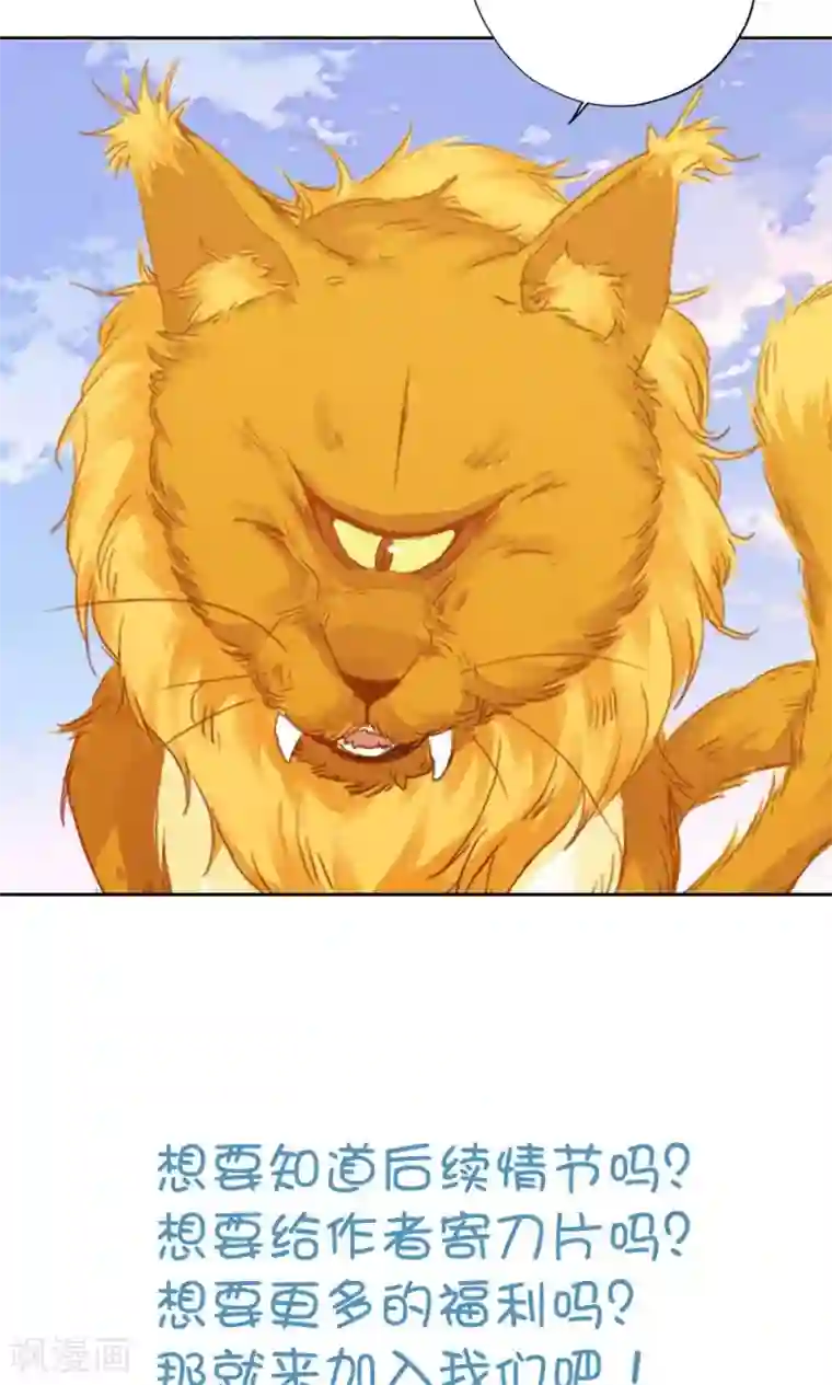 镜花传说第94话