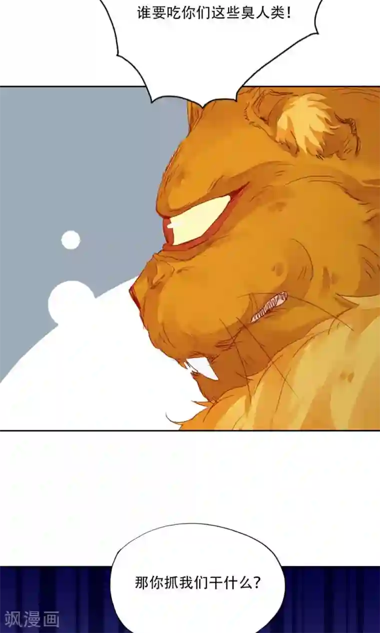 镜花传说第94话