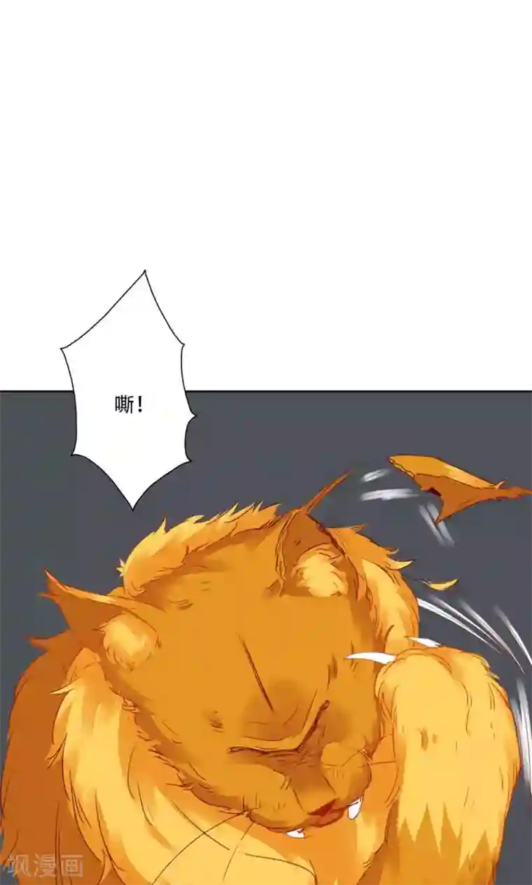 镜花传说第95话