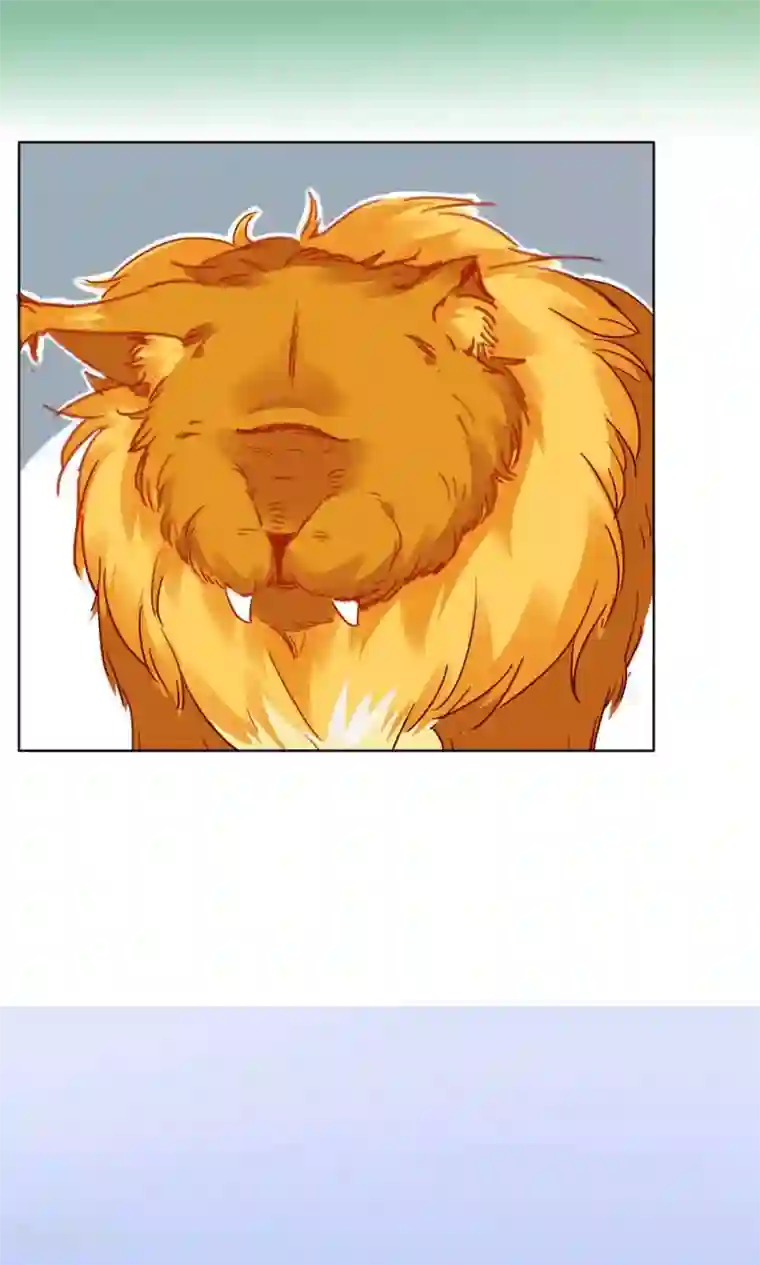 镜花传说第95话