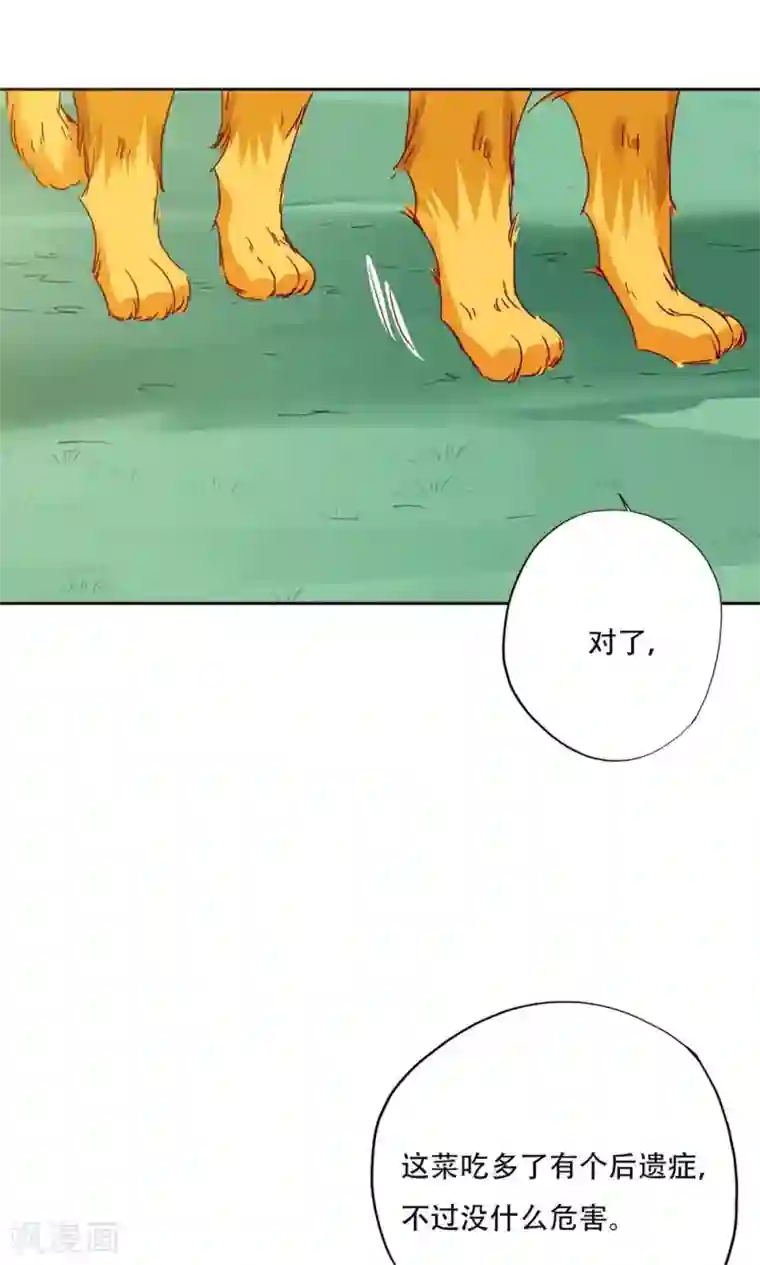 镜花传说第95话