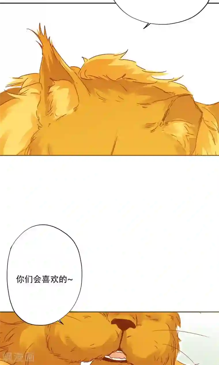 镜花传说第95话