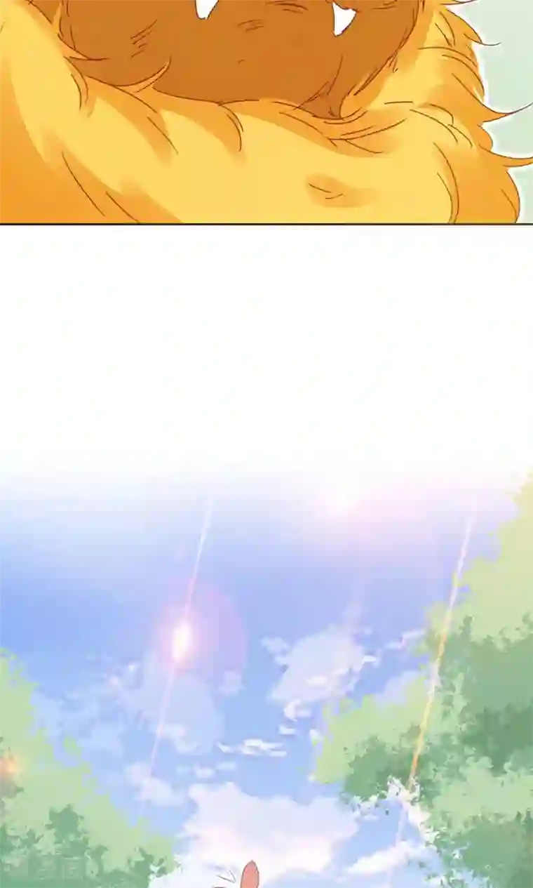 镜花传说第95话