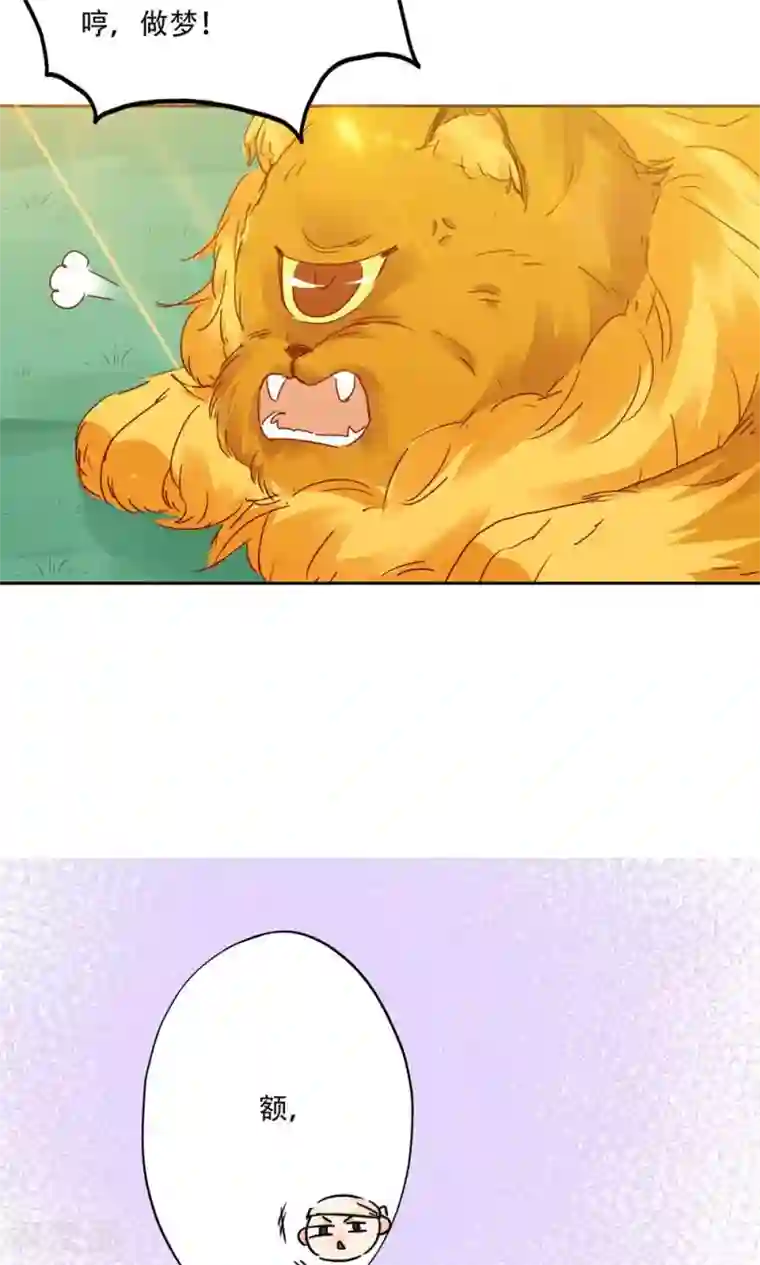 镜花传说第95话