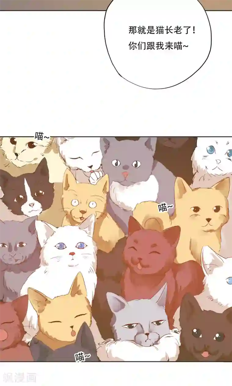 镜花传说第96话