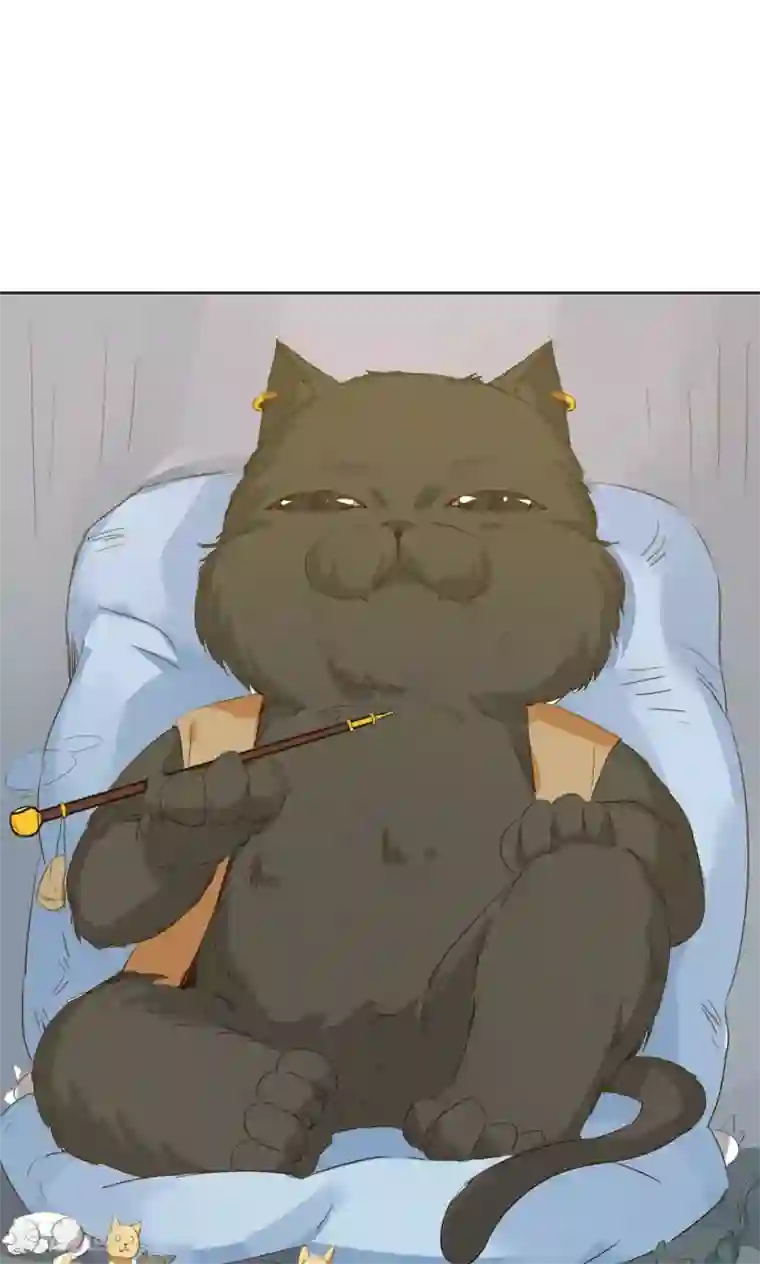 镜花传说第96话