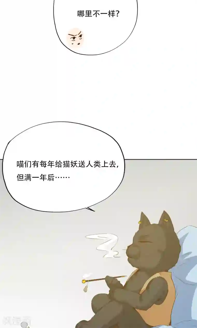 镜花传说第96话