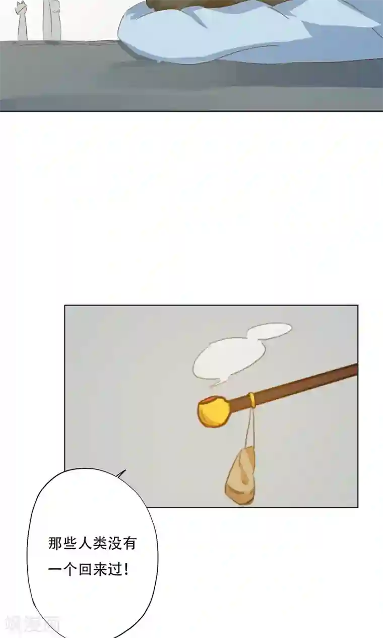 镜花传说第96话