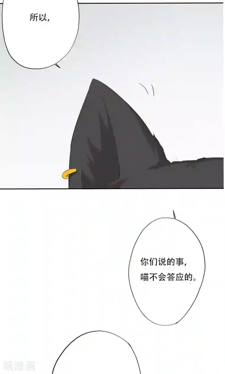 镜花传说最终话