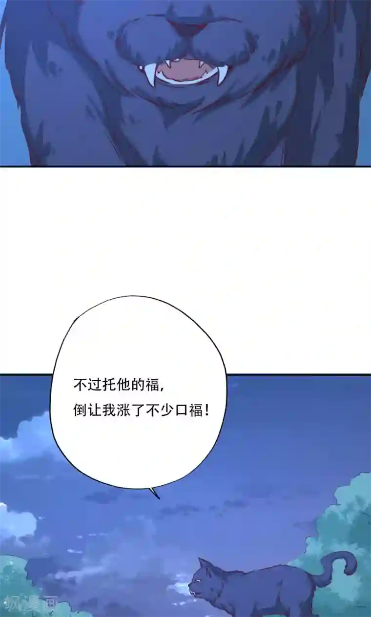 镜花传说最终话