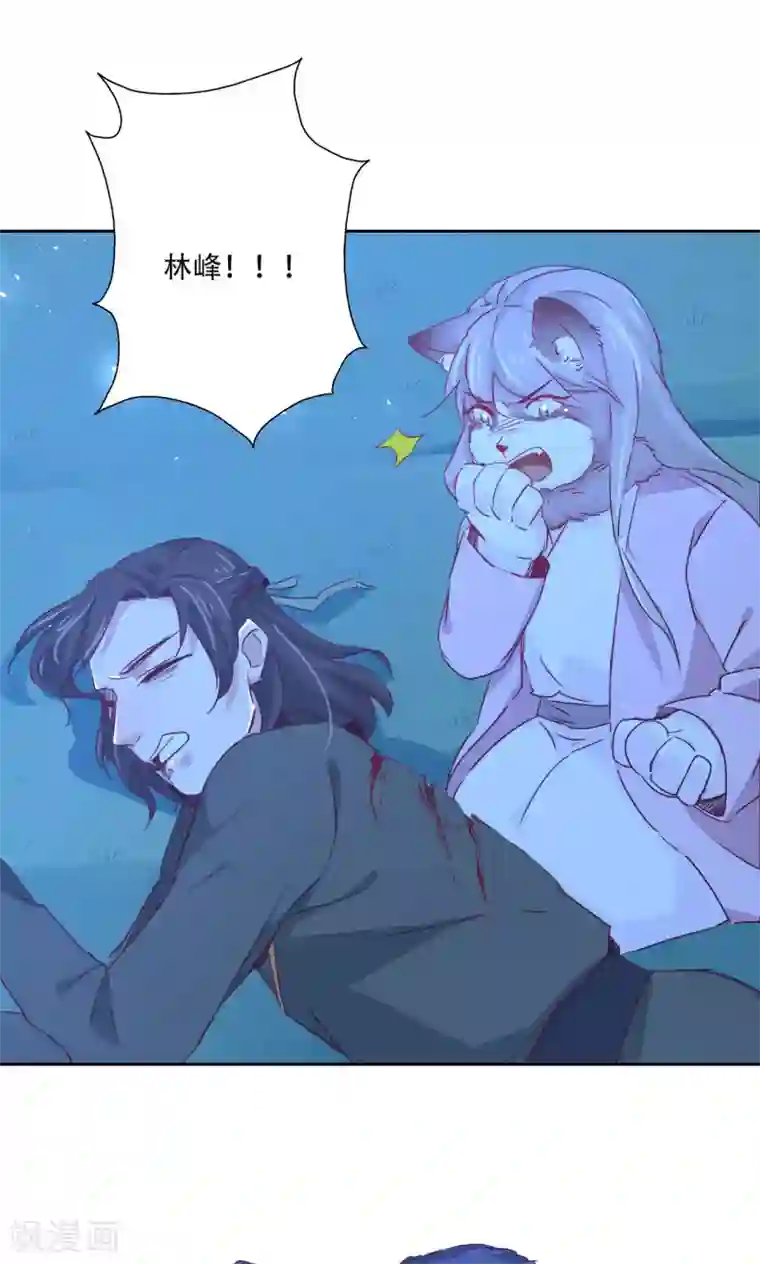 镜花传说最终话