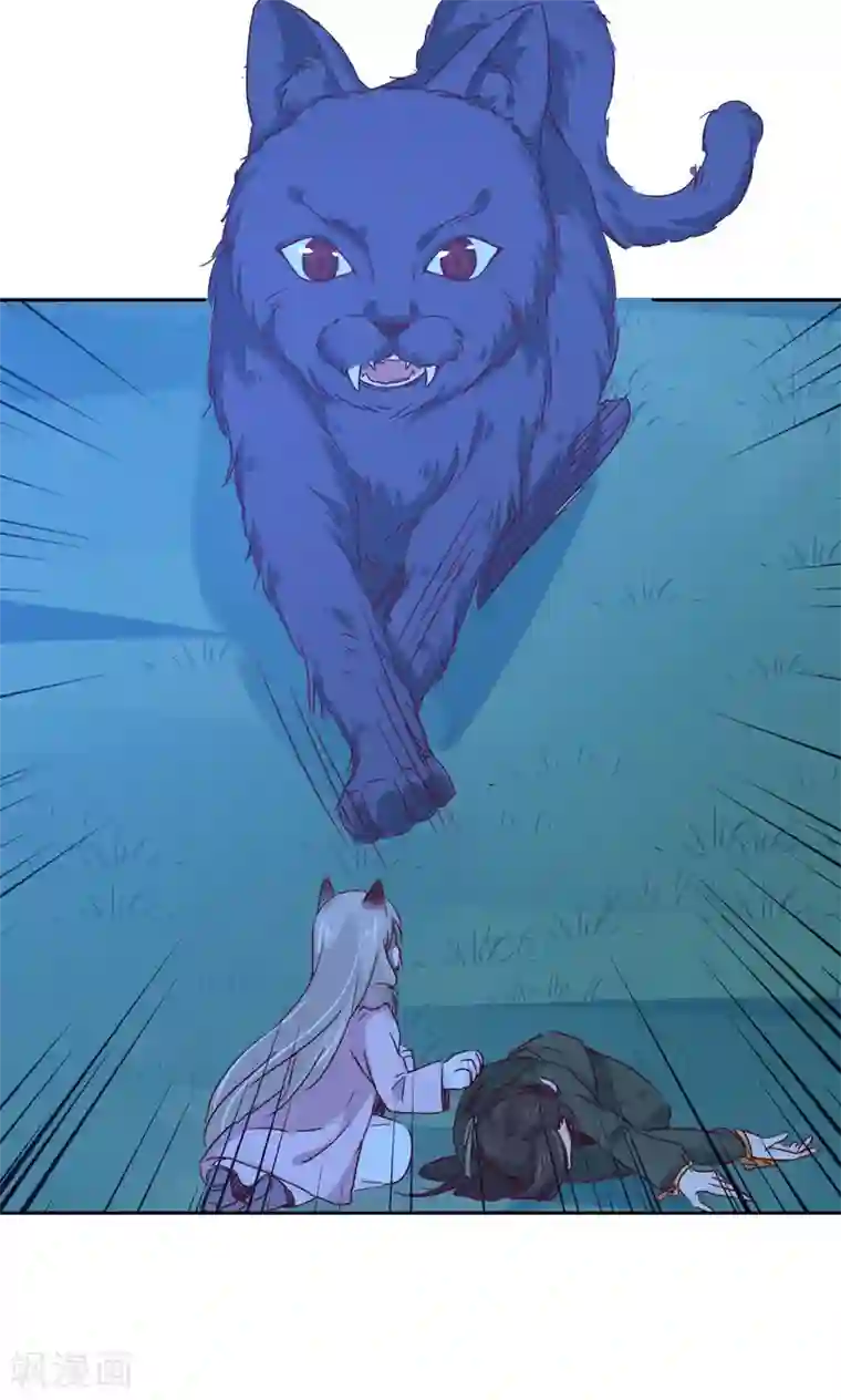 镜花传说最终话