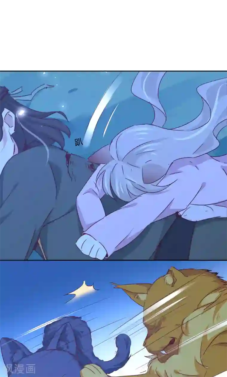 镜花传说最终话