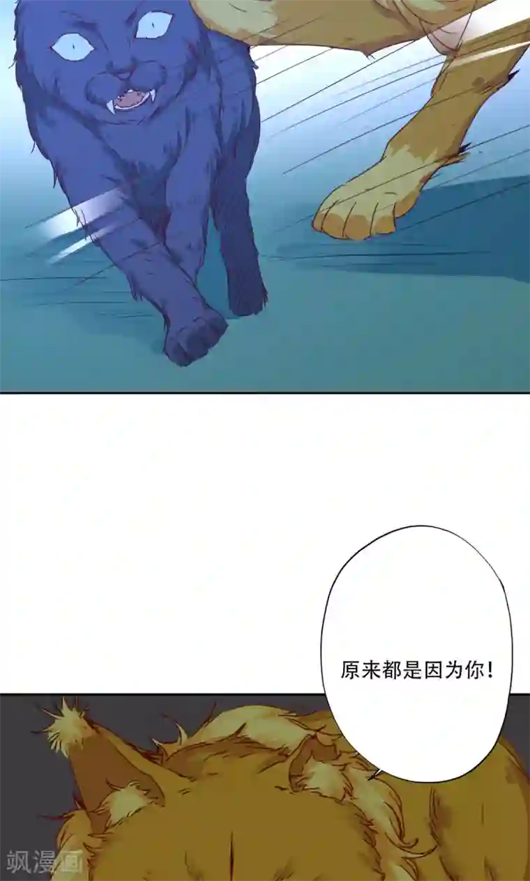 镜花传说最终话