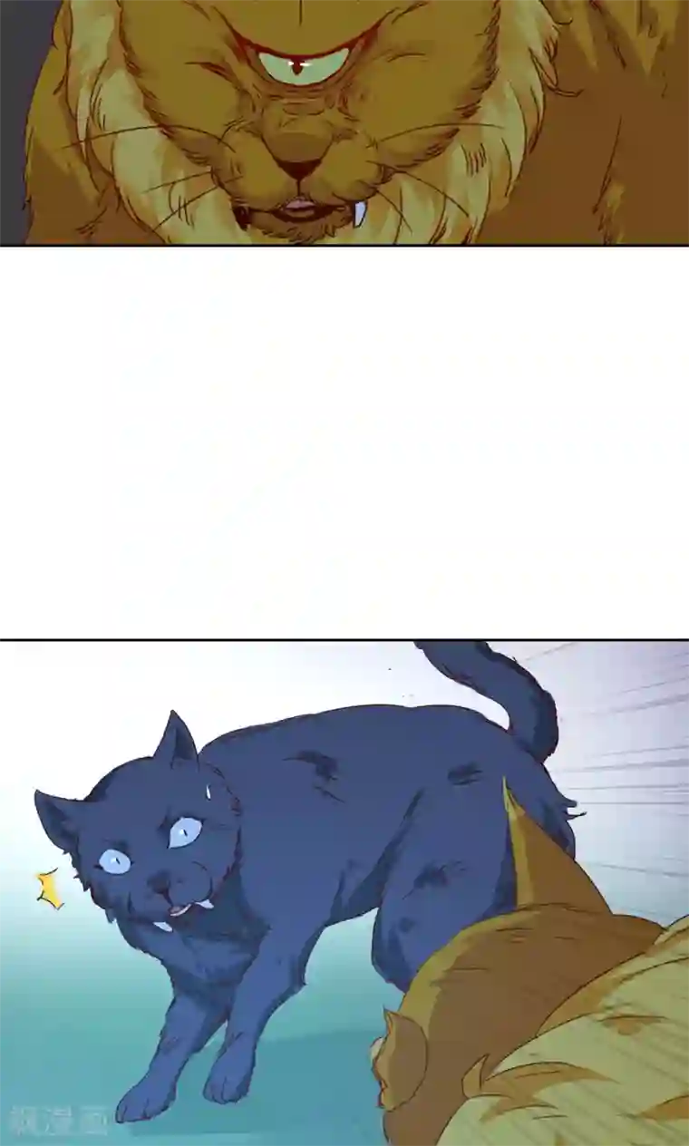 镜花传说最终话