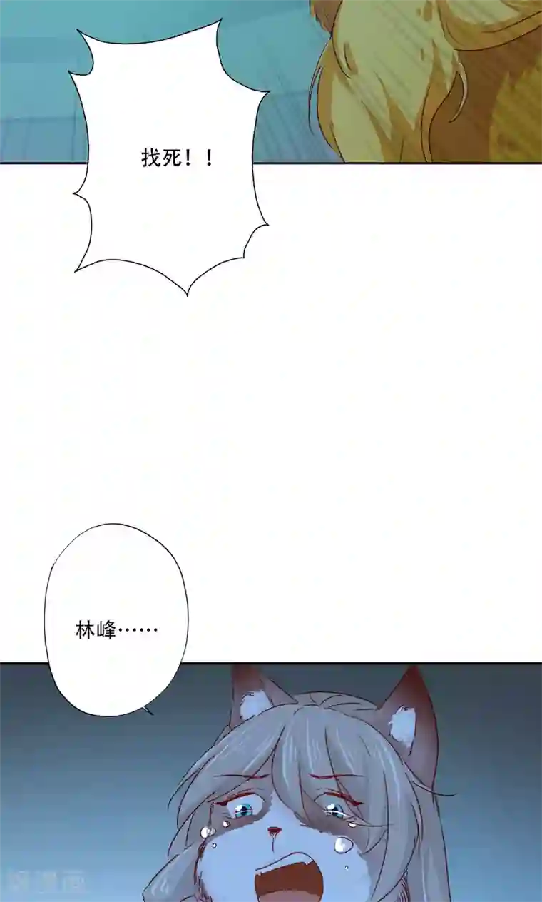 镜花传说最终话