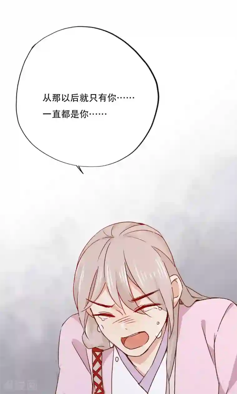 镜花传说最终话