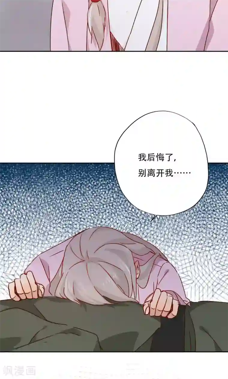 镜花传说最终话