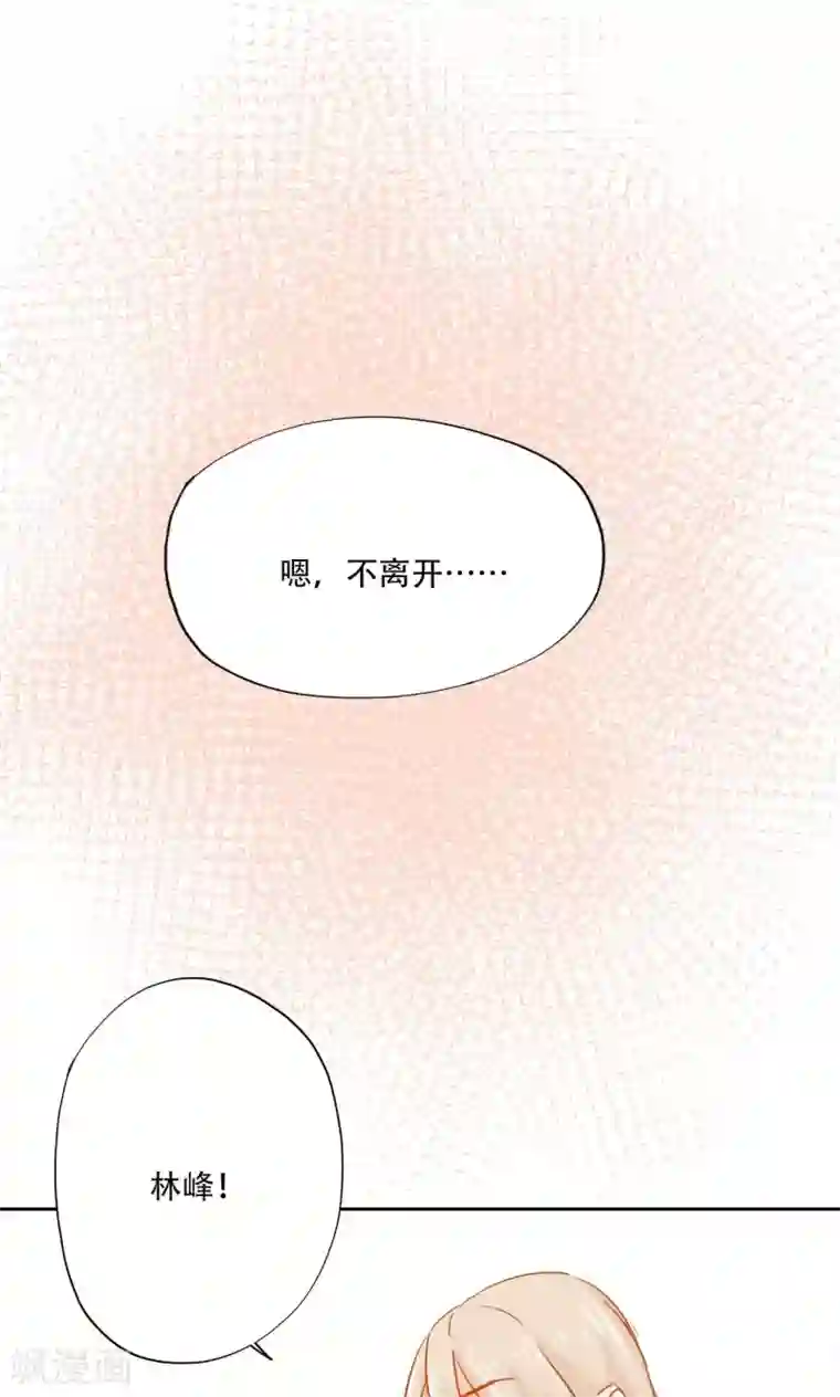 镜花传说最终话