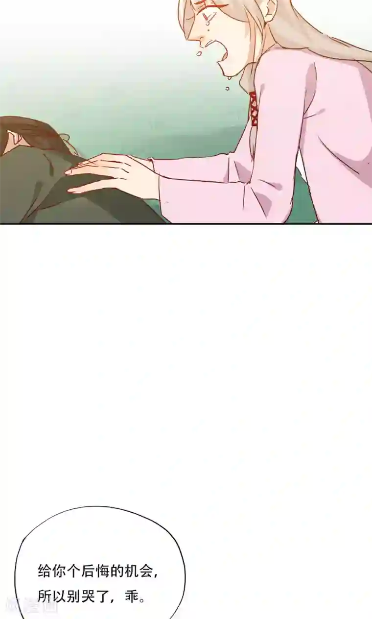 镜花传说最终话