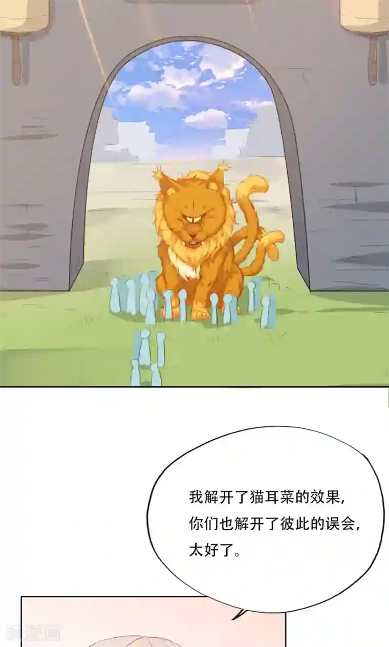 镜花传说最终话