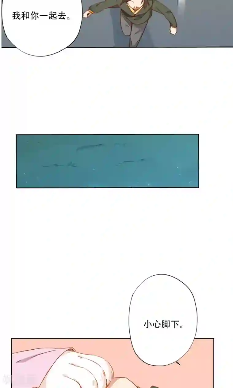 镜花传说最终话